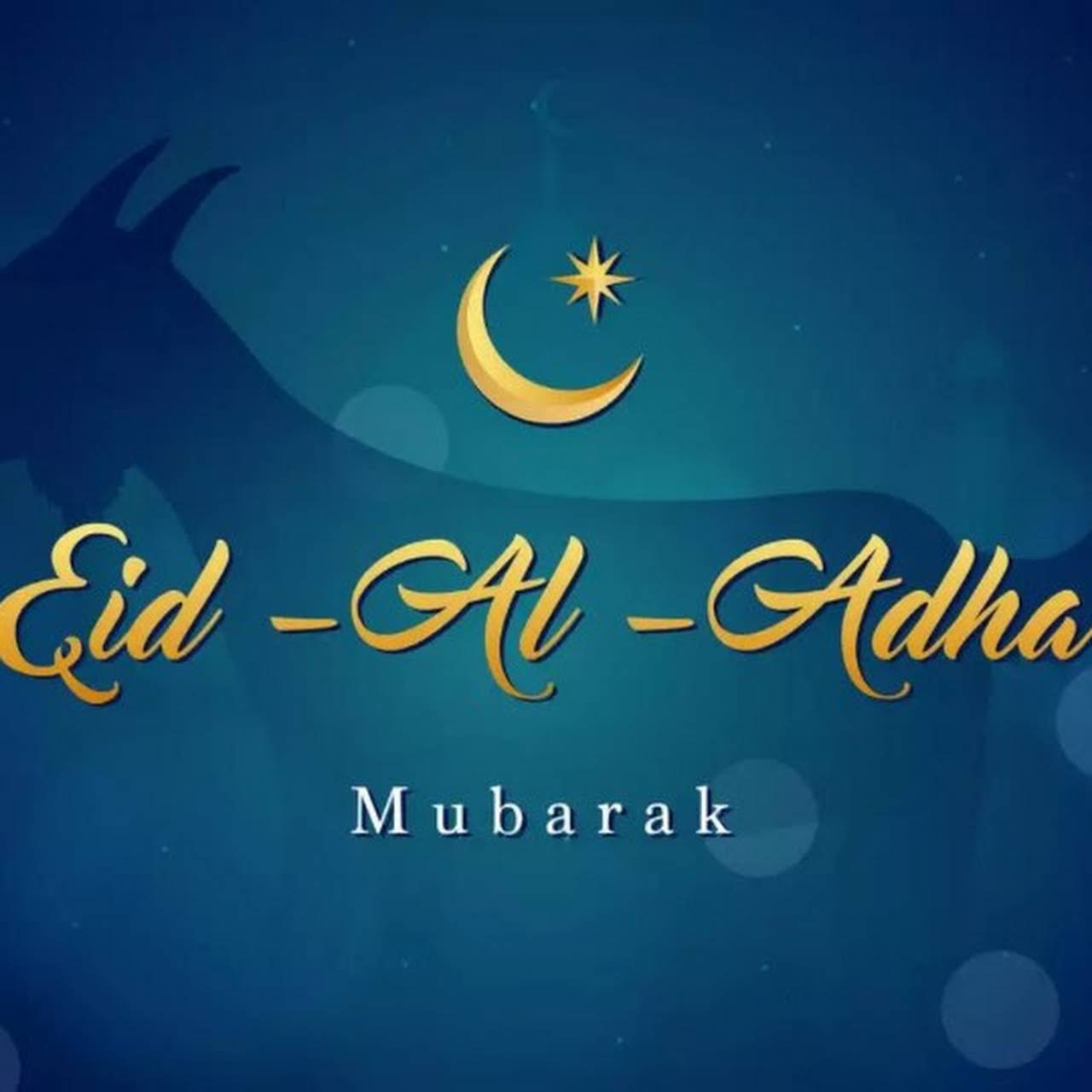 AF1QipPez9FLqHmXVQ4JuKzufCeqNLA2593-9cOlF5Sv=s1280-p-no-v1