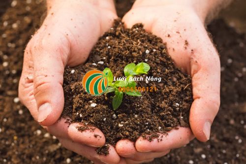 Lợi ích của đất trồng