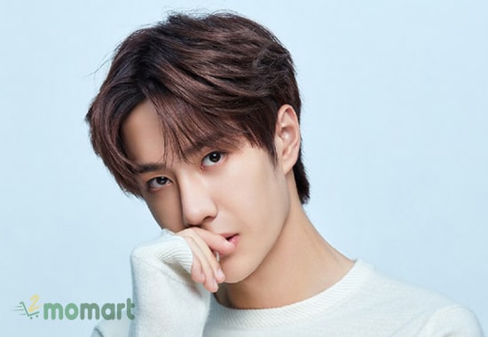 Màu tóc hạt dẻ là lựa chọn phù hợp với nhiều người