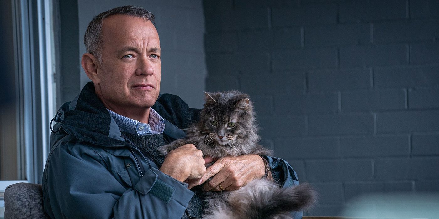 Tom Hanks embraces a feline friend in A Filmmaker Named Otto