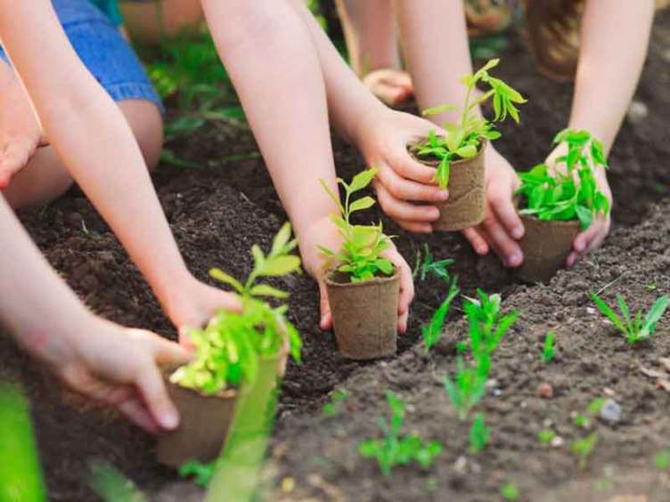 Đặc tính của đất giữ nước tốt