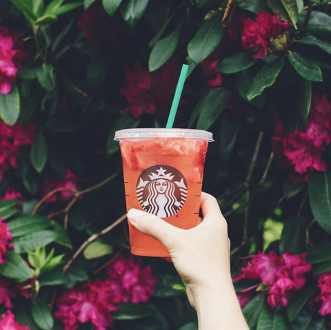 hand, plant, non-alcoholic beverage, cup, drink, flower, cup,